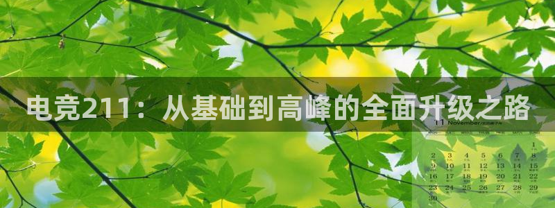 安博电竞 安心博