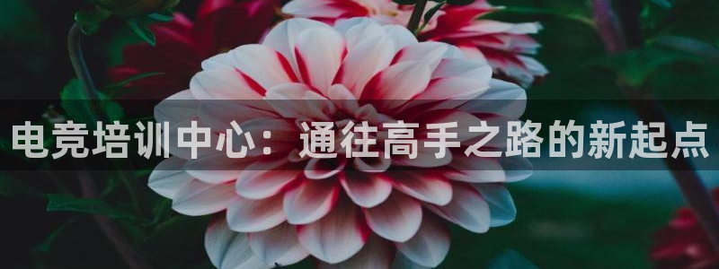 安博电竞平台干什么的啊