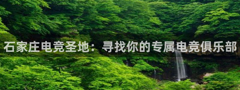 安博电竞手机版技官网