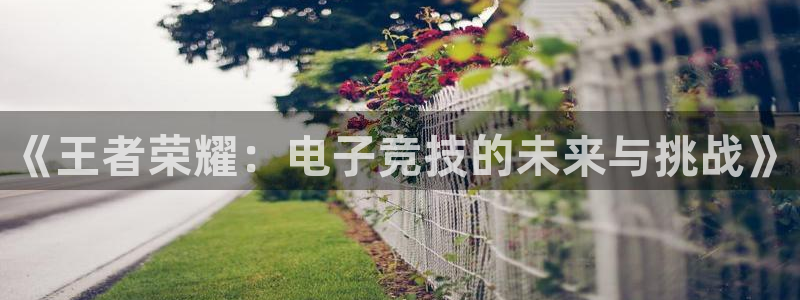 安博电竞 安心博