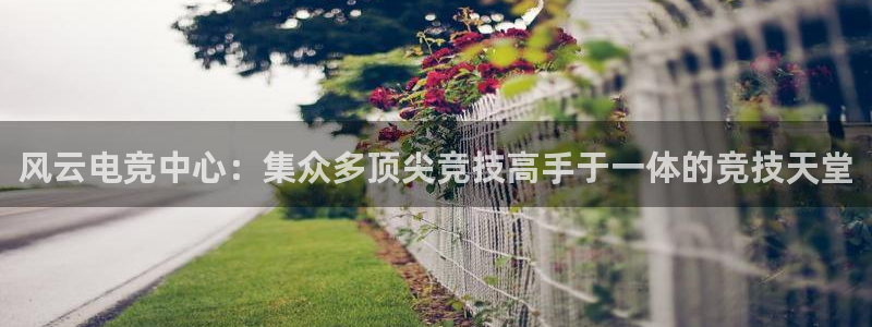 安博电竞app安卓