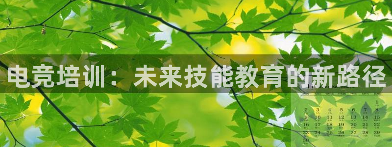 安博电竞app安卓下载