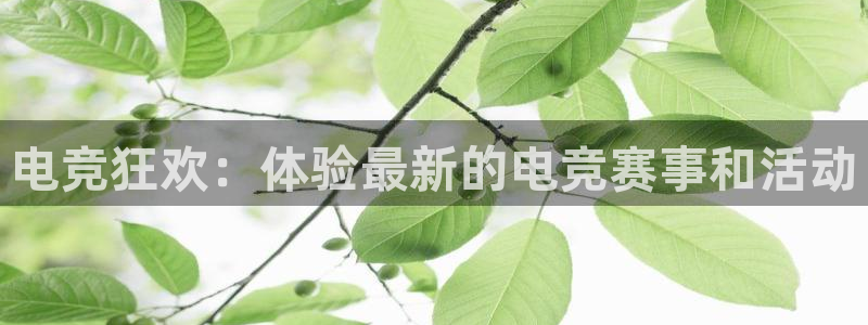 安博电竞登录网页版官网