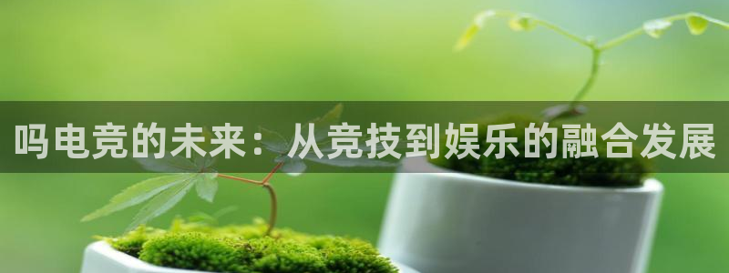 安博电竞网上官网是正品吗：吗电竞的未来：从竞技到娱乐的融合发展
