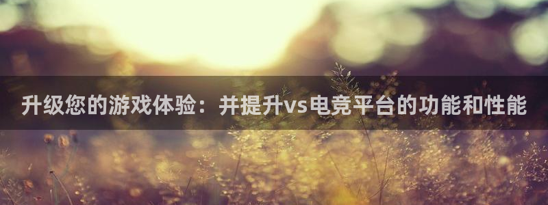 安博电竞黑：升级您的游戏体验：并提升vs电竞平台的功能和性能