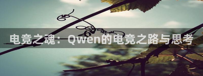 安博电竞吧：电竞之魂：Qwen的电竞之路与思考