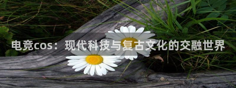 安博电竞平台平台官网：电竞cos：现代科技与复古文化的交融世界