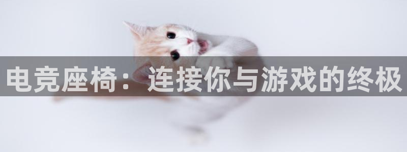安博电竞怎么登录不了：电竞座椅：连接你与游戏的终极