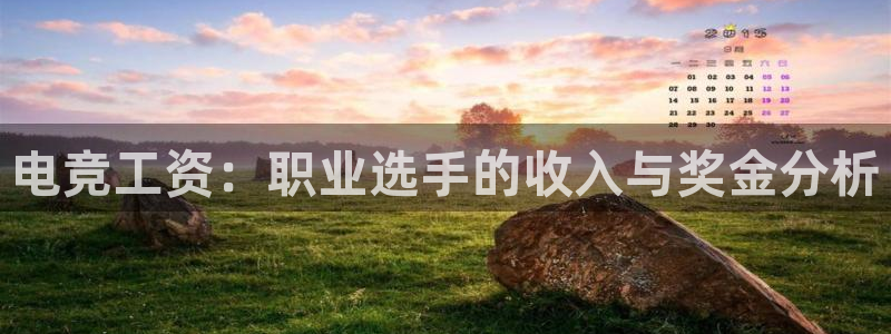 安博电竞平台怎么样：电竞工资：职业选手的收入与奖金分析